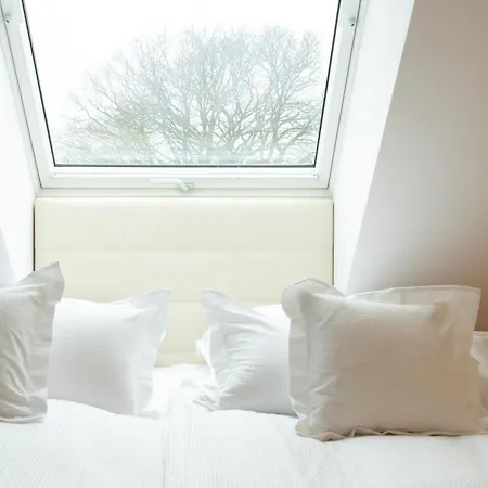 Gulfhof Bei Kletzsch & In Ostfriesland * Grossefehn
